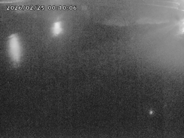 河内川１2026/02/25 2:30:00