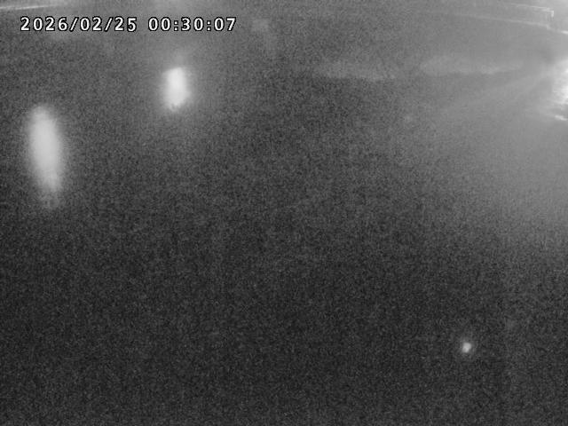 河内川１2026/02/25 2:30:00