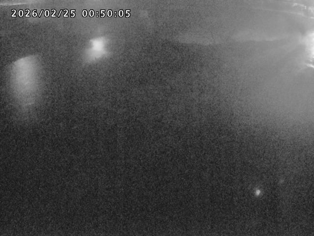 河内川１2026/02/25 2:30:00