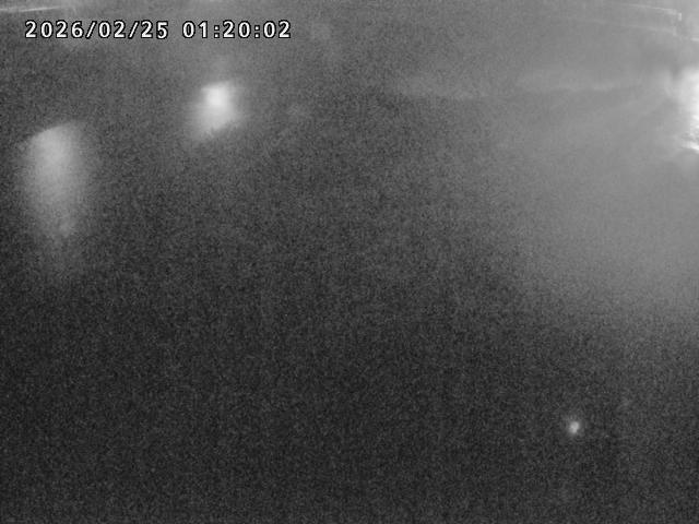 河内川１2026/02/25 2:30:00