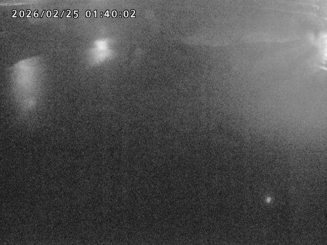 河内川１2026/02/25 2:30:00