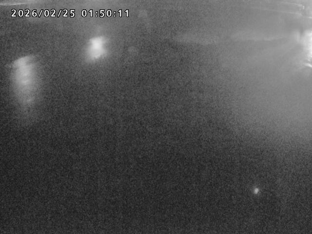 河内川１2026/02/25 2:30:00