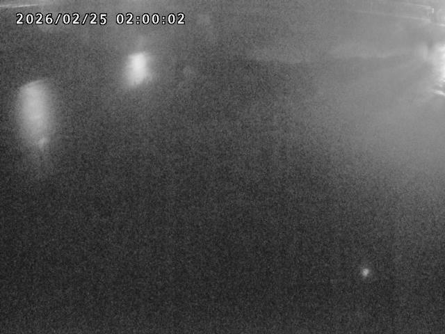 河内川１2026/02/25 2:30:00