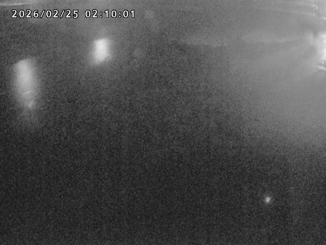 河内川１2026/02/25 2:30:00