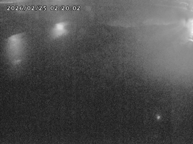 河内川１2026/02/25 2:30:00