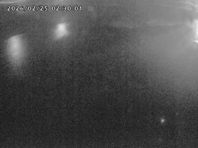 河内川１2026/02/25 2:30:00