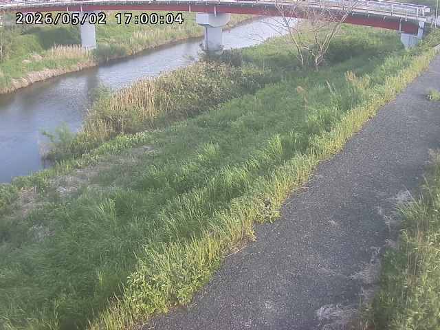 河内川１2026/05/03 16:50:00