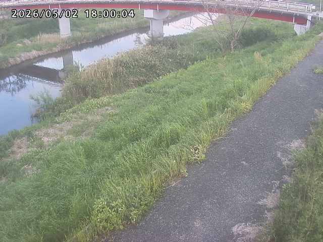 河内川１2026/05/03 16:50:00