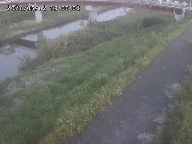 河内川１2026/05/03 16:50:00
