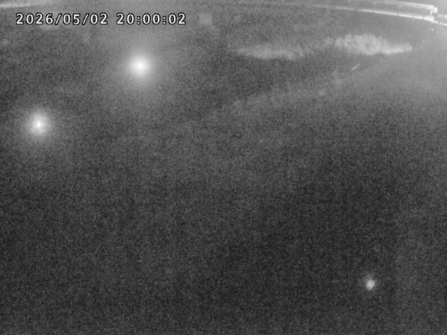 河内川１2026/05/03 16:50:00
