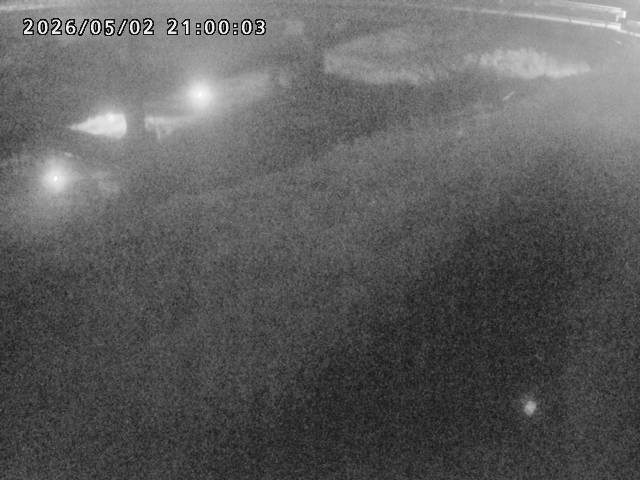 河内川１2026/05/03 16:50:00