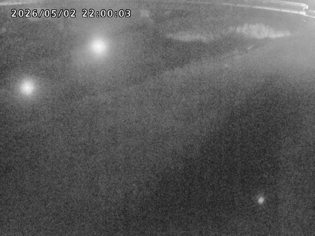 河内川１2026/05/03 16:50:00