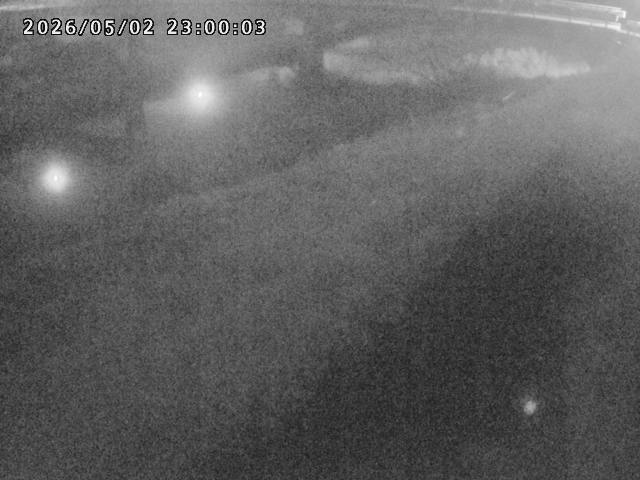 河内川１2026/05/03 16:50:00