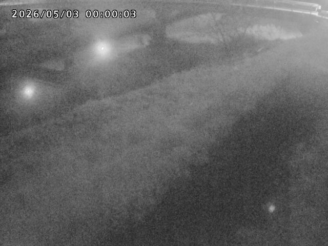 河内川１2026/05/03 16:50:00