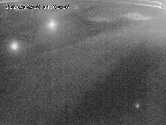 河内川１2026/05/03 16:50:00