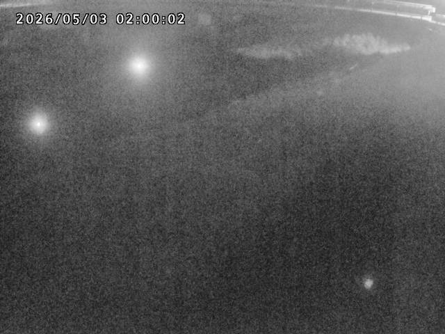 河内川１2026/05/03 16:50:00