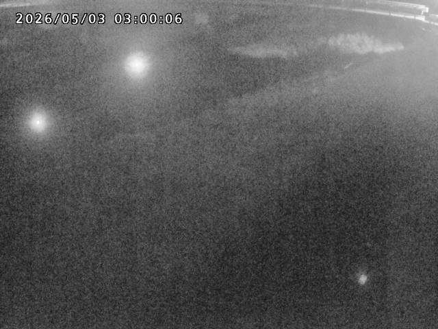 河内川１2026/05/03 16:50:00