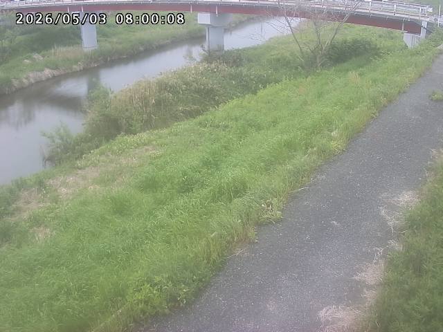 河内川１2026/05/03 16:50:00