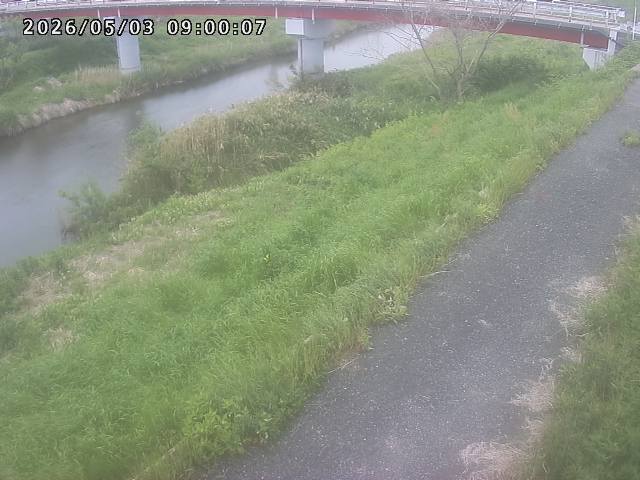 河内川１2026/05/03 16:50:00