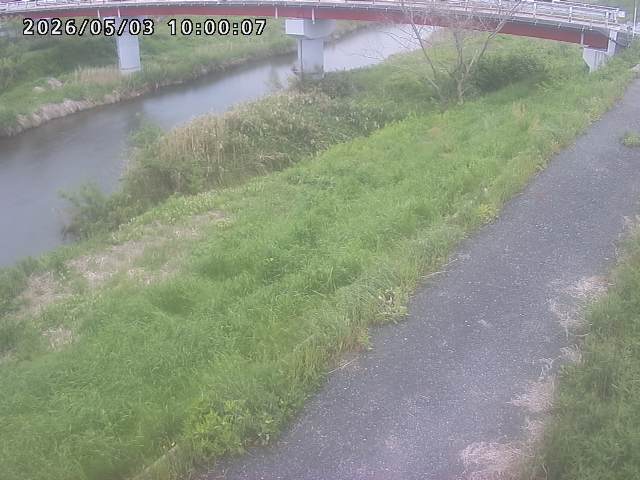 河内川１2026/05/03 16:50:00