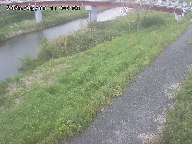 河内川１2026/05/03 16:50:00
