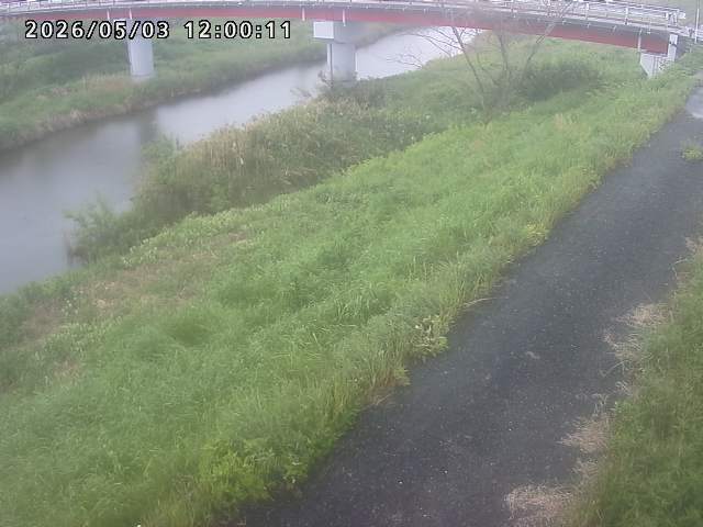 河内川１2026/05/03 16:50:00