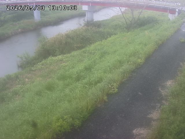 河内川１2026/05/03 16:50:00