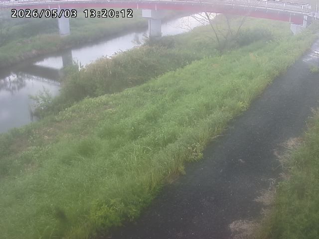 河内川１2026/05/03 16:50:00
