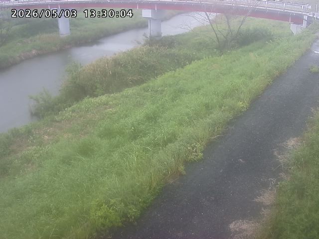 河内川１2026/05/03 16:50:00