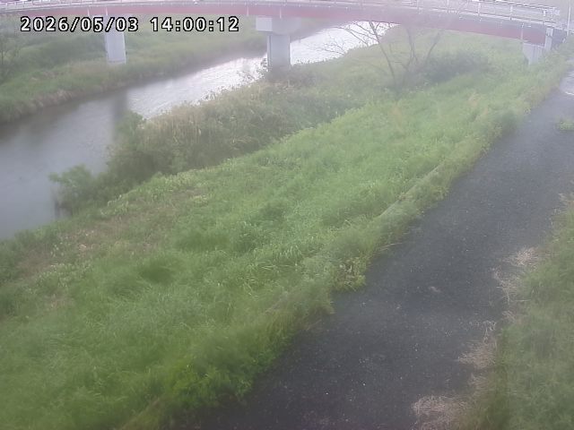 河内川１2026/05/03 16:50:00