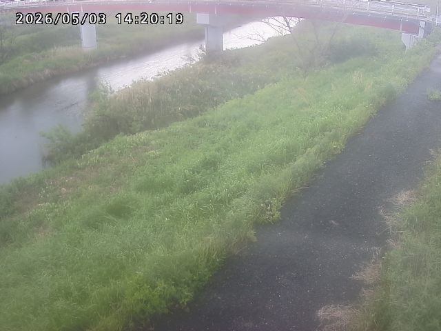 河内川１2026/05/03 16:50:00