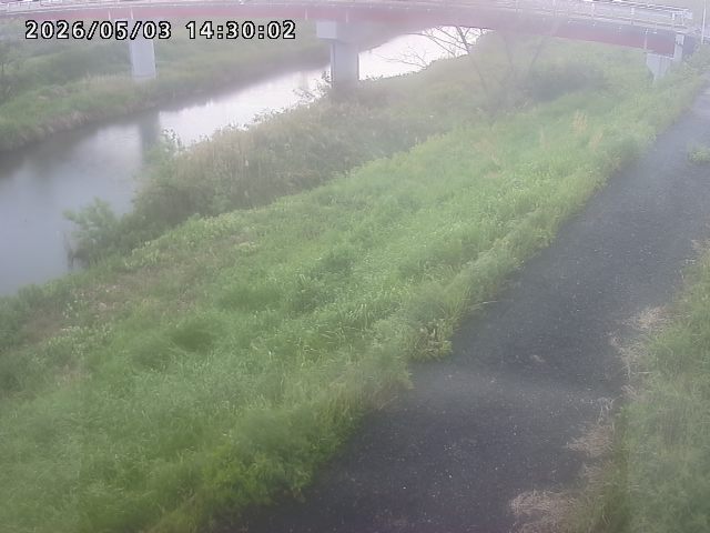 河内川１2026/05/03 16:50:00
