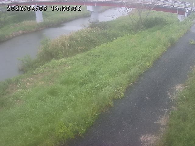 河内川１2026/05/03 16:50:00