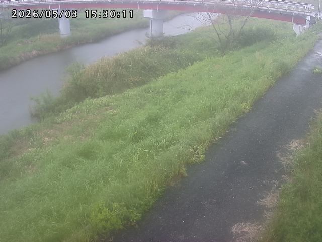 河内川１2026/05/03 16:50:00