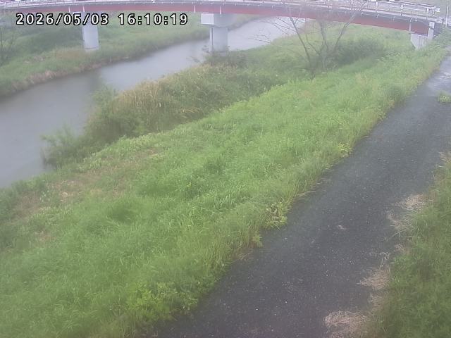 河内川１2026/05/03 16:50:00