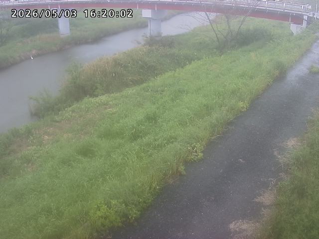 河内川１2026/05/03 16:50:00
