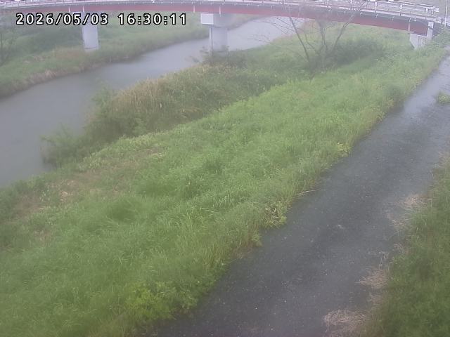 河内川１2026/05/03 16:50:00