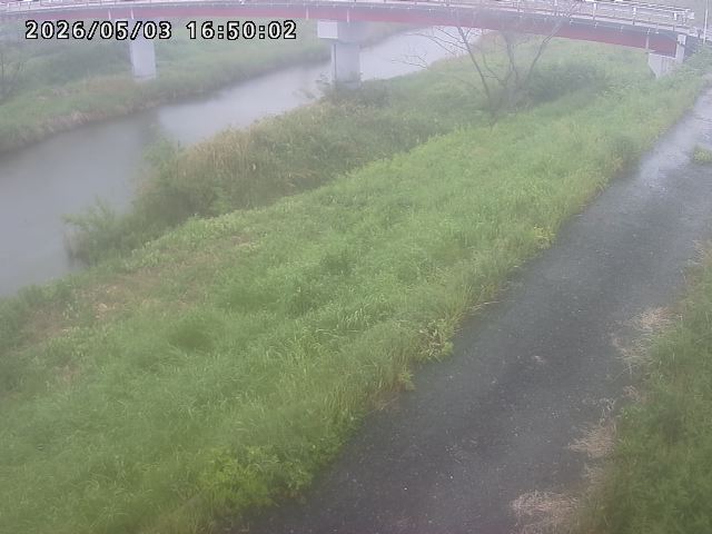 河内川１2026/05/03 16:50:00