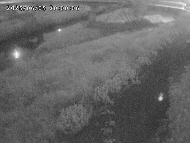 河内川１2025/06/06 0:50:00