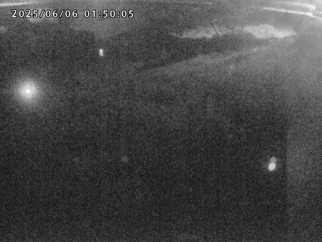 河内川１2025/06/06 2:40:00