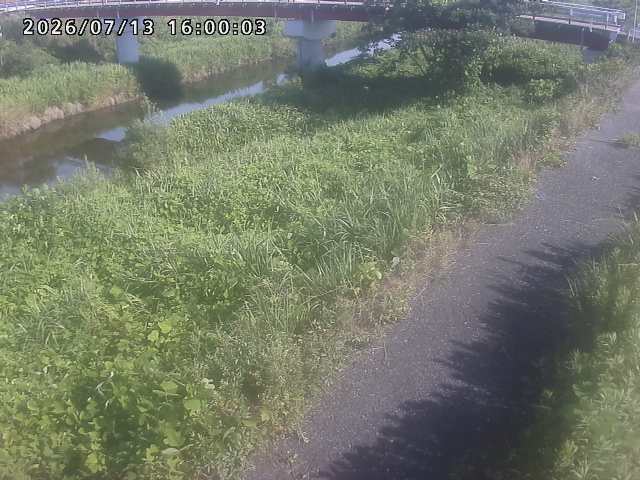 河内川１2026/07/14 15:20:00