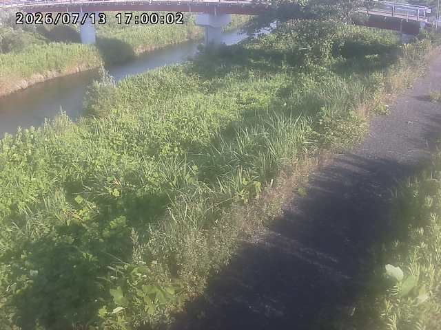 河内川１2026/07/14 15:20:00