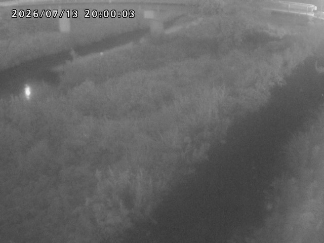 河内川１2026/07/14 15:20:00
