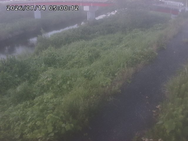 河内川１2026/07/14 15:20:00