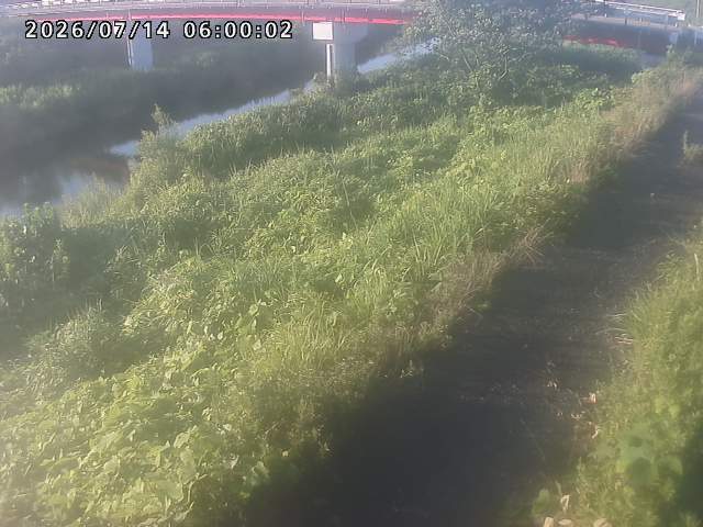 河内川１2026/07/14 15:20:00