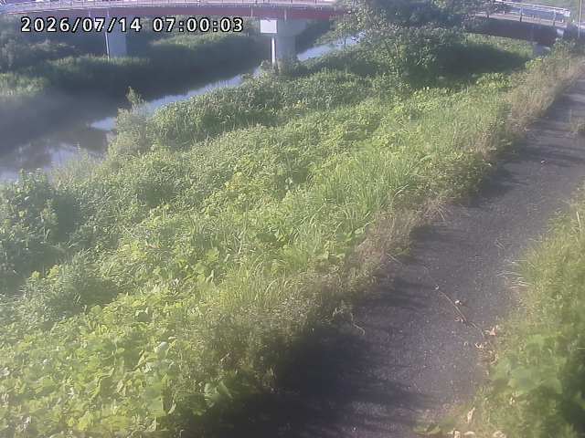 河内川１2026/07/14 15:20:00
