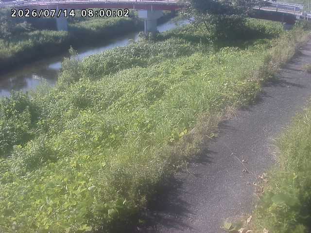 河内川１2026/07/14 15:20:00