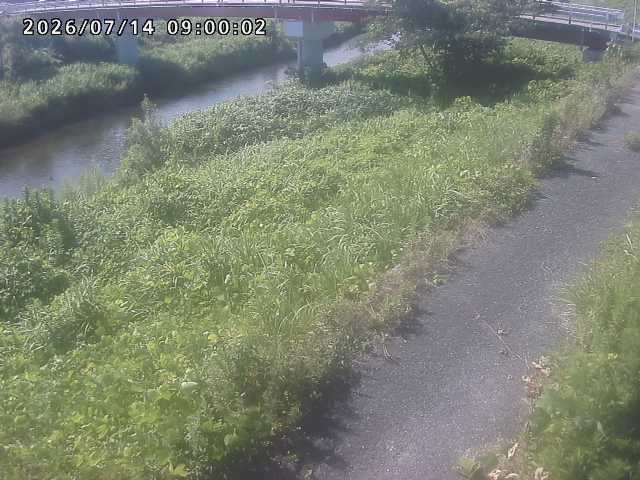 河内川１2026/07/14 15:20:00