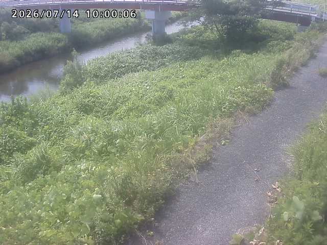 河内川１2026/07/14 15:20:00