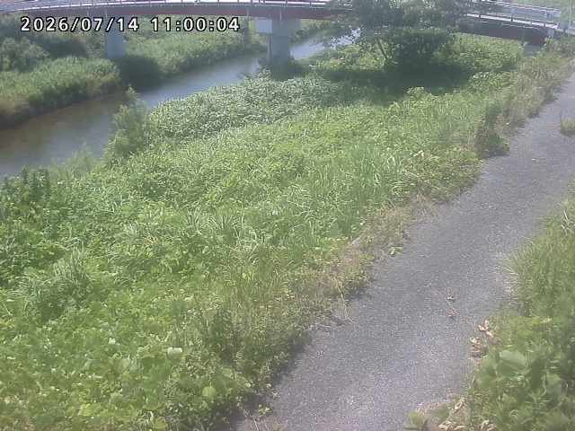河内川１2026/07/14 15:20:00